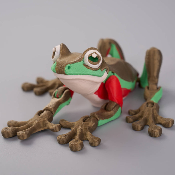 Fidgimals - Museum Fidgi Blue Mountain Tree Frog