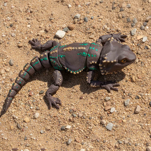heebiejeebies bearded dragon 3D with distinctive markings on a sandy ground