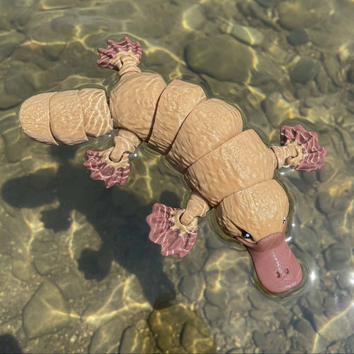 Toy platypus floating in clear water with rocks on the bottom