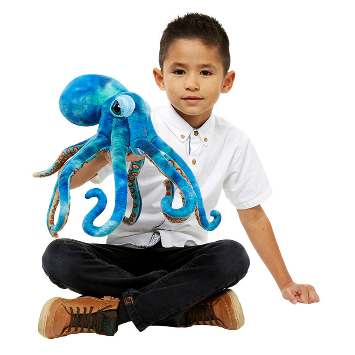 Octopus - Large Creatures