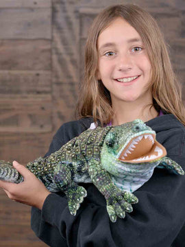 Alligator - Large Creatures