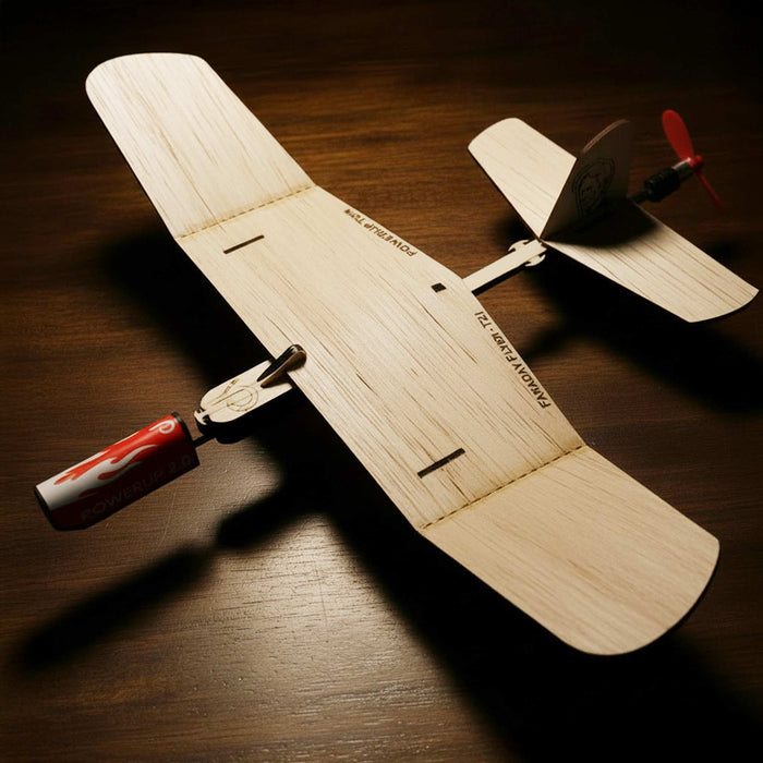 Wooden model airplane on a wooden surface from heebie jeebies
