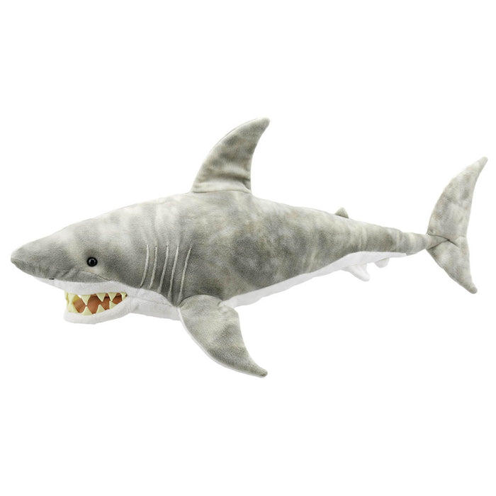 Shark - Large Creatures
