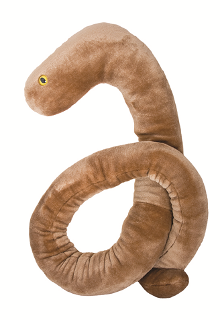 Giant shop microbes ebola