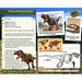 Heebie Jeebies | Dinosaur Wood Kit Small Tyrannosaurus