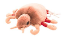 Giant Microbe | Crab Louse