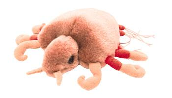 Std stuffed discount animals