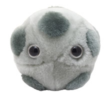 Hpv | Giant Microbe