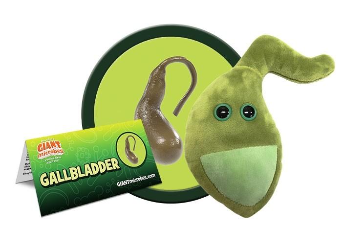 Giant Microbe | Gallbladder