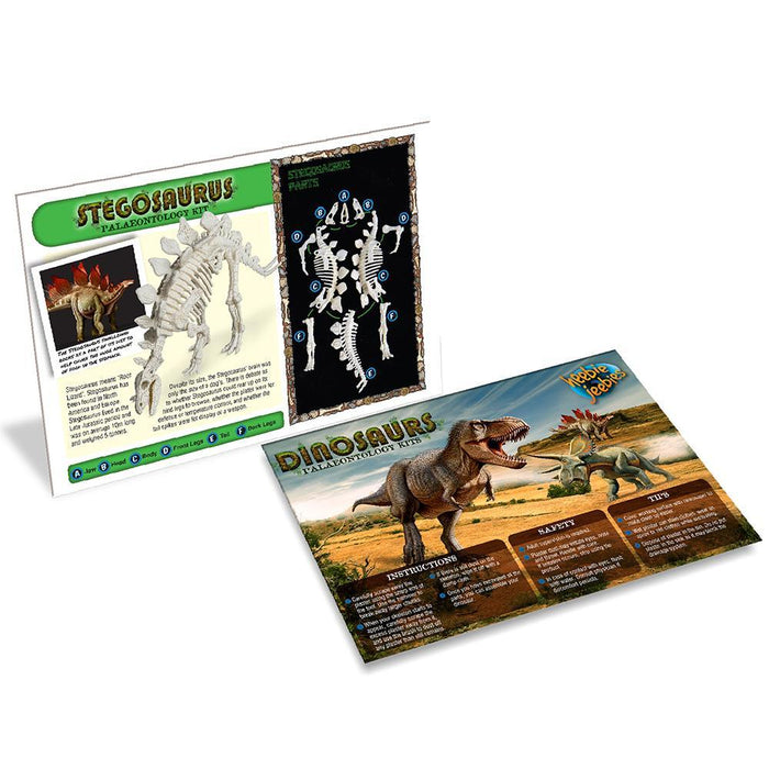 Heebie Jeebies | Stegosaurus Palaeontology Kit