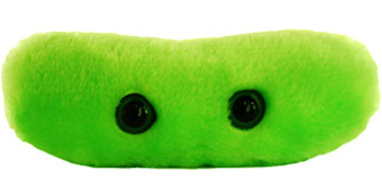 Giant microbes deals tuberculosis
