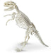 Heebie Jeebies | Tyrannosaurus Palaeontology Kit