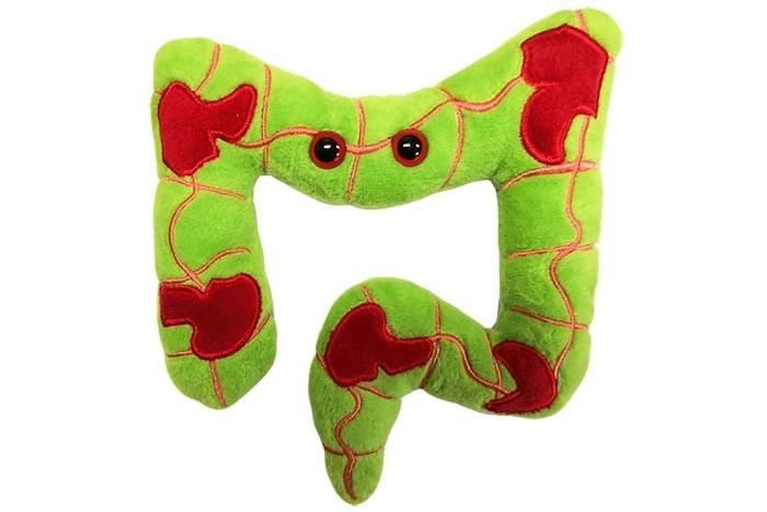 Giant Microbes | Crohn's Disease and Colitis