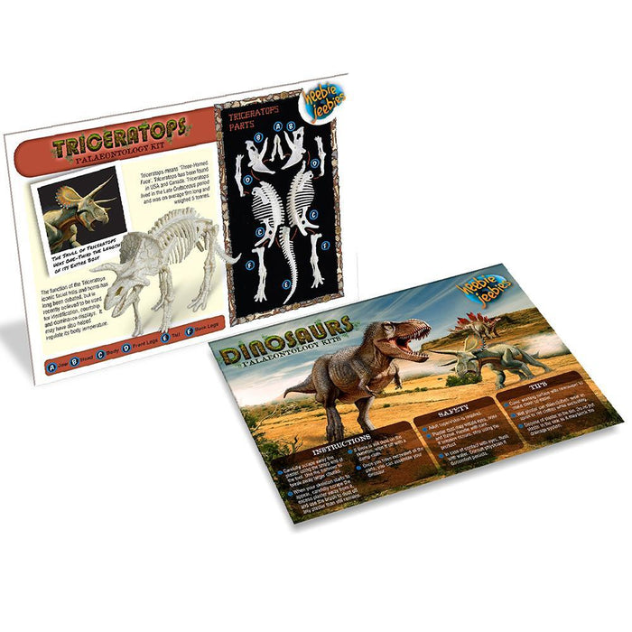 Heebie Jeebies | Triceratops Palaeontology Kit