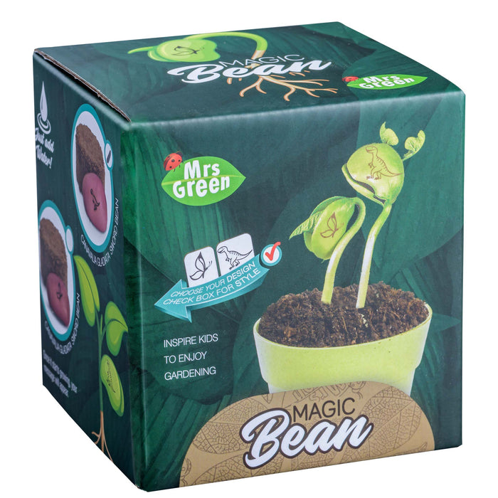 Mrs Greens | Magic Beans