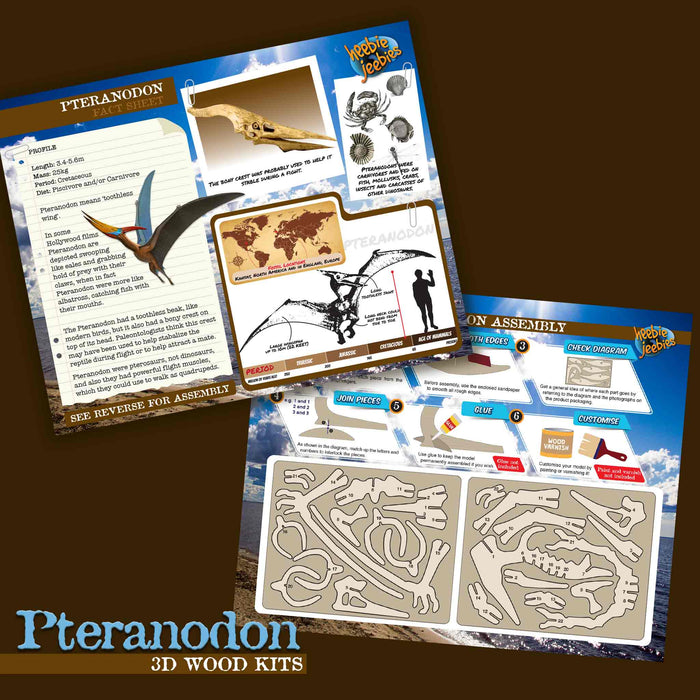 Wood Kit Dinosaur | Small | Pteranodon