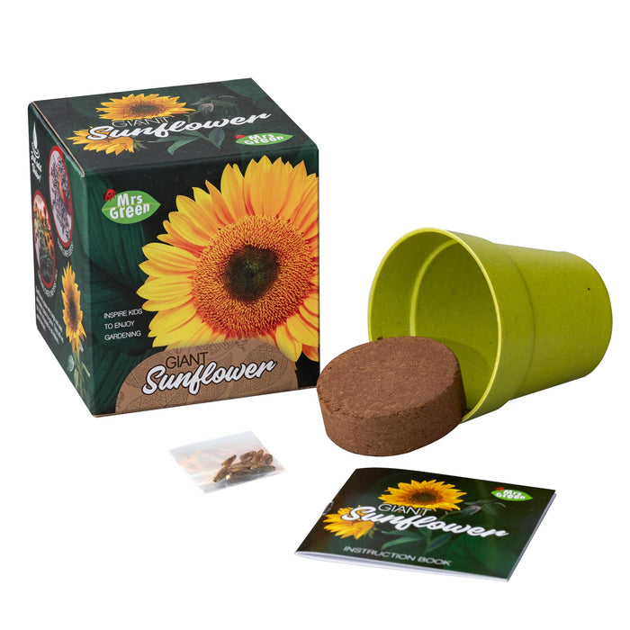Giant Sunflower | Grow your own Sunflower