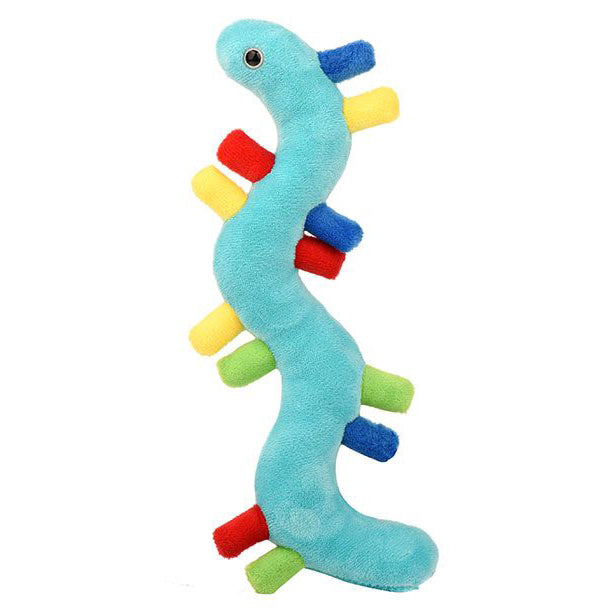 RNA (Ribonucleic Acid)