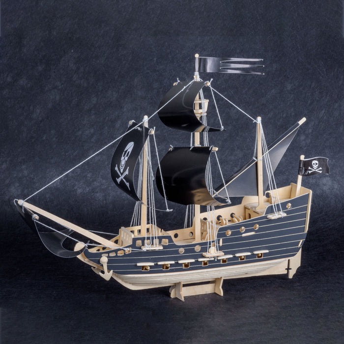 Queen Anne's Revenge Ship Building Kit