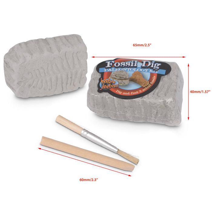 Pocket Money Science | Fossil Dig | Mini Paleo kit