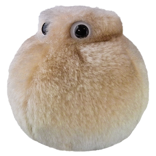 Giant microbes best sale australia