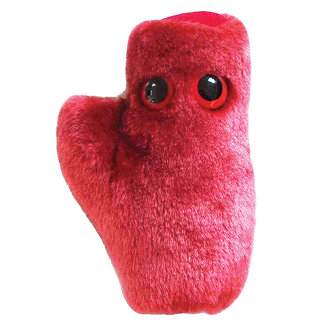 Heart Cell | Giant Microbe