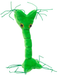Nerve Cell | Giant Microbe