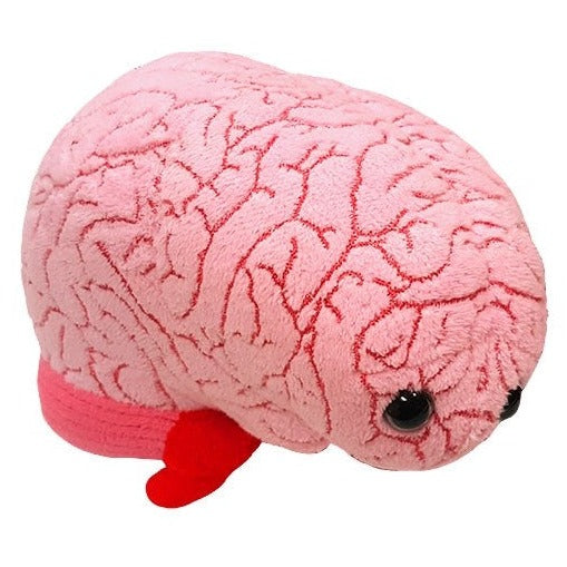 Giant Microbe | Brain Organ