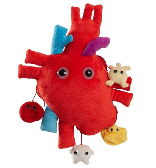 Xl Heart Organ | Giant Microbe