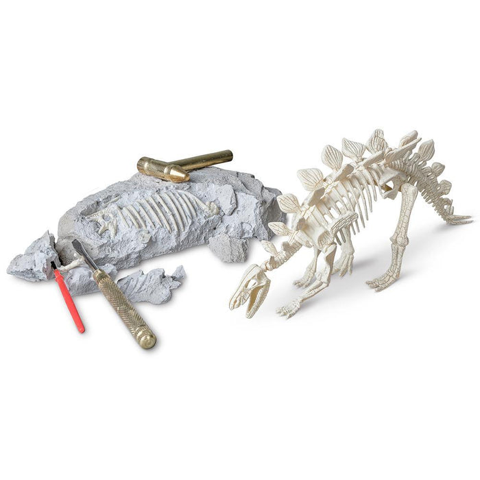 Heebie Jeebies | Stegosaurus Palaeontology Kit