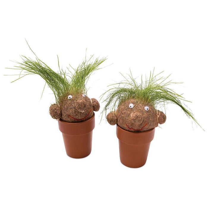 Pot Head | Grass Growing Plant